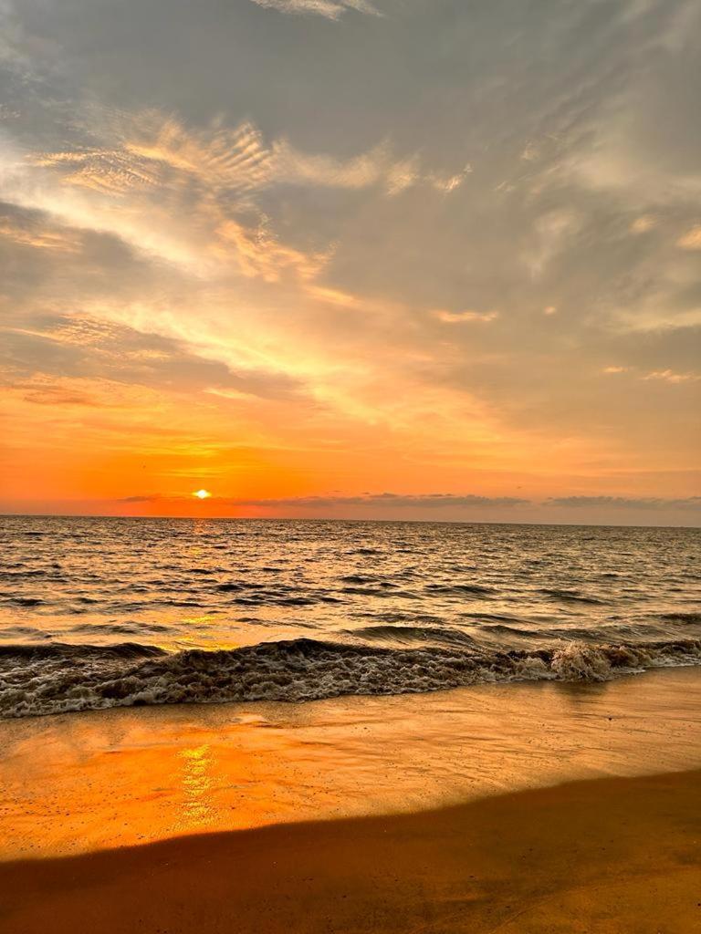 Enocean Homestay Cherai Beach Esterno foto